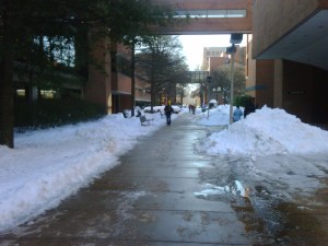 IMG00165-20091221-0926