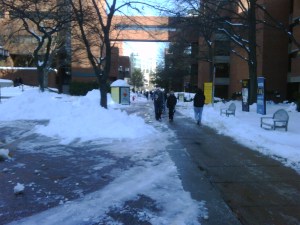 IMG00178-20091221-0935