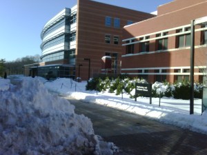 IMG00179-20091221-0937